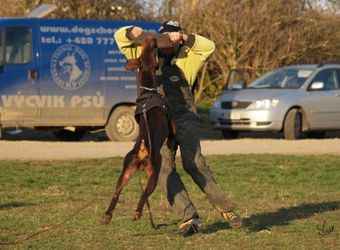 Training in Prague 3/2007